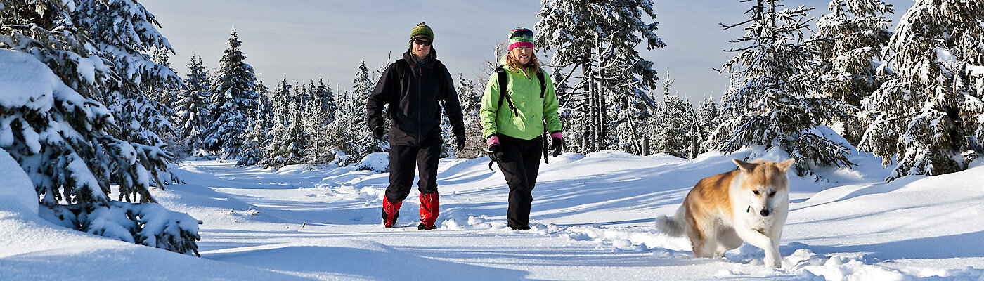 Winterwanderung mit Hund im Bayerischen Wald